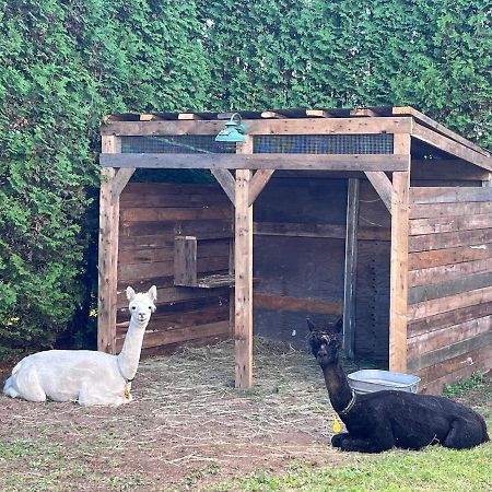 Gite - La Ruee Vers L'Orge Trois-Rivières Kültér fotó